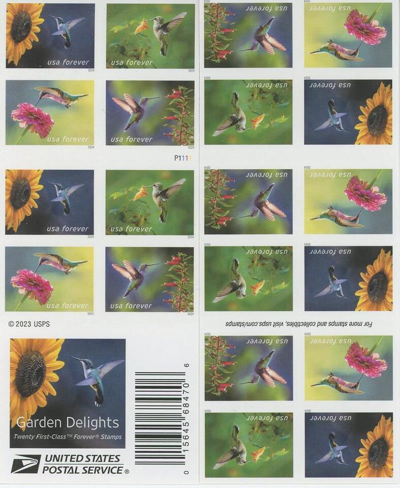 Animal_22_7_05db0ffc-ee27-40a7-af3e-ffc31e782c76