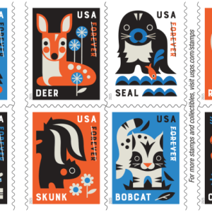 Baby Wild Animals 2025