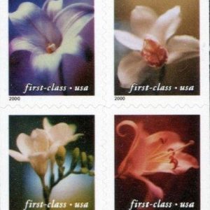 Four Orchids 2000