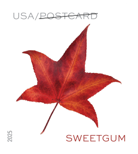 Vibrant Leaves Sheet 2025