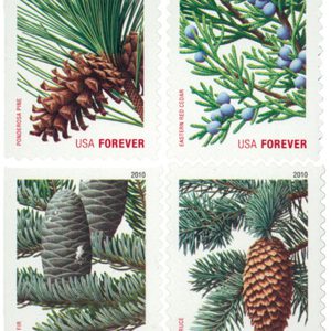 Holiday Daily Green Trees 2010