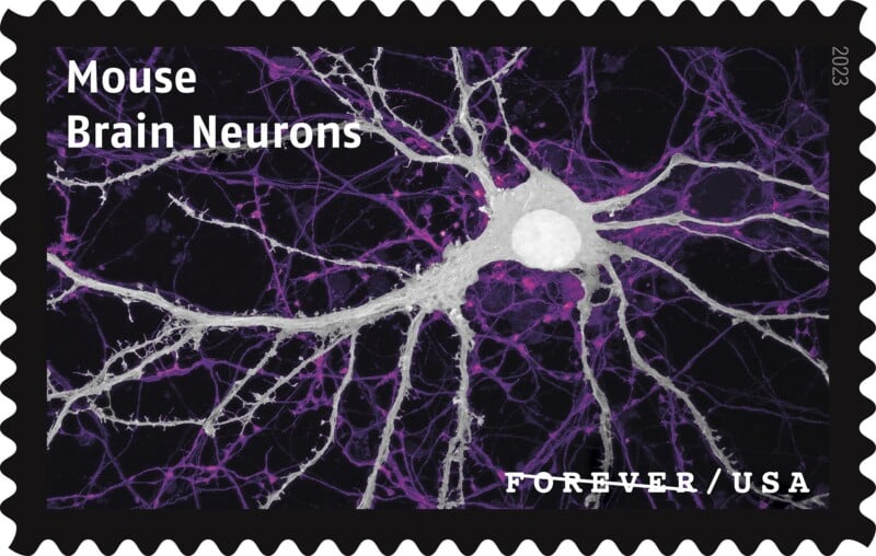 USPS23STA030H-800×508