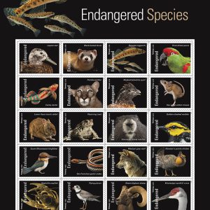 Endangered Species 2023