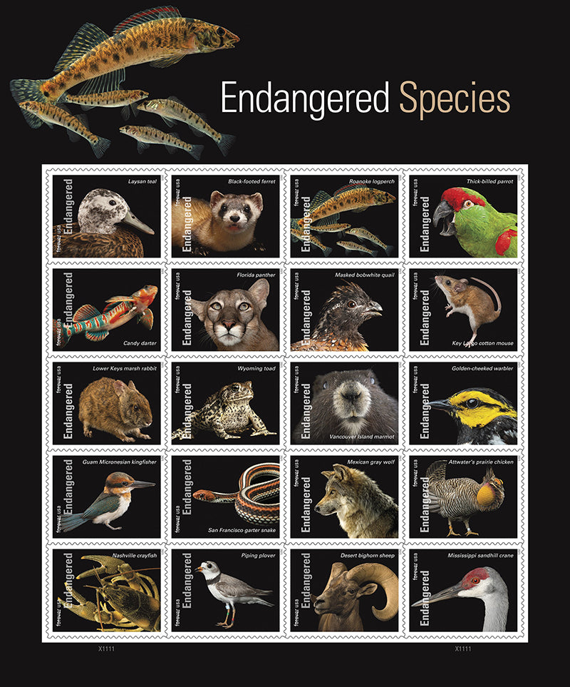 endangered-species