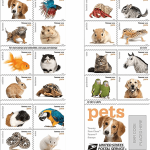 Pets Celebrate Animals 2016