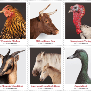 Heritage Breeds 2021